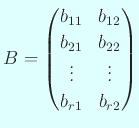 $\displaystyle B=
\begin{pmatrix}
b_{11} & b_{12} \\
b_{21} & b_{22} \\
\vdots & \vdots \\
b_{r1} & b_{r2}
\end{pmatrix}$